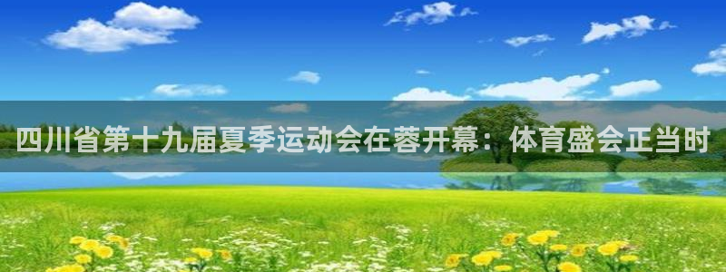 杏耀包怎么样