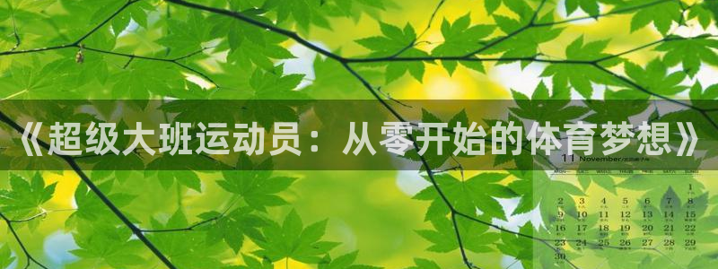 成都意昂电子有限公司