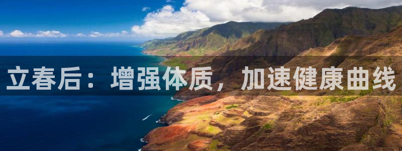 杏耀包怎么样
