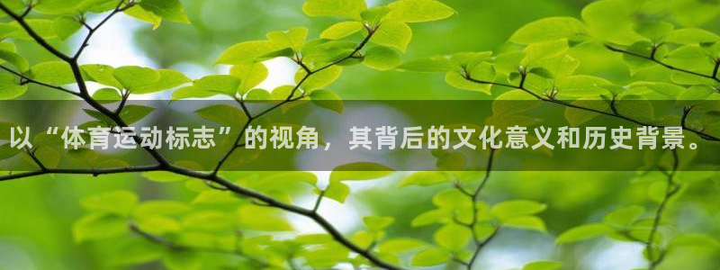 杏耀体育在线注册
