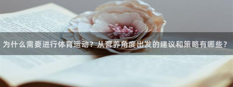 杏耀4代理