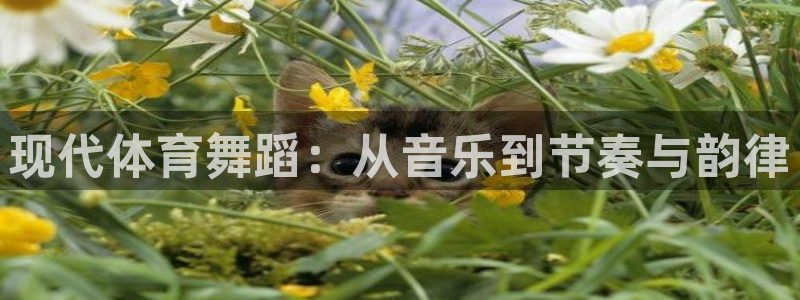 杏耀体育合法嘛