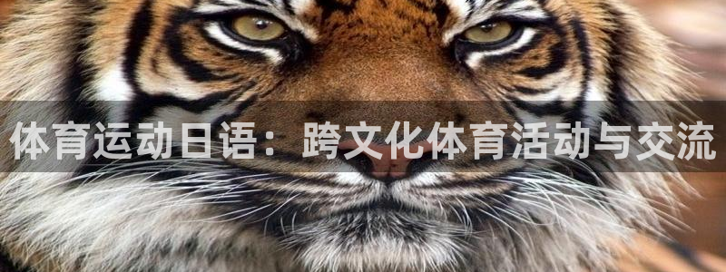 杏耀体育免费注册入口