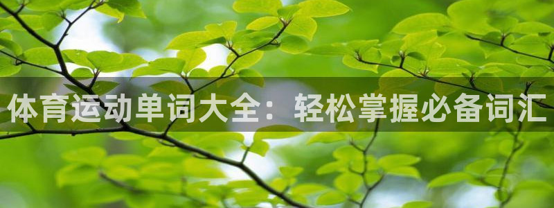 意昂总代