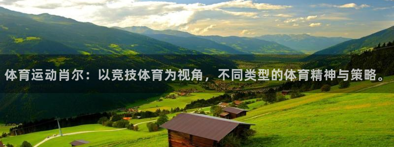杏耀体育官网