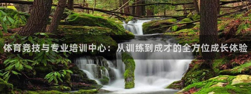 杏耀官网