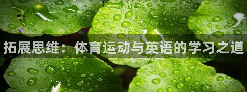 意昂是什么品牌