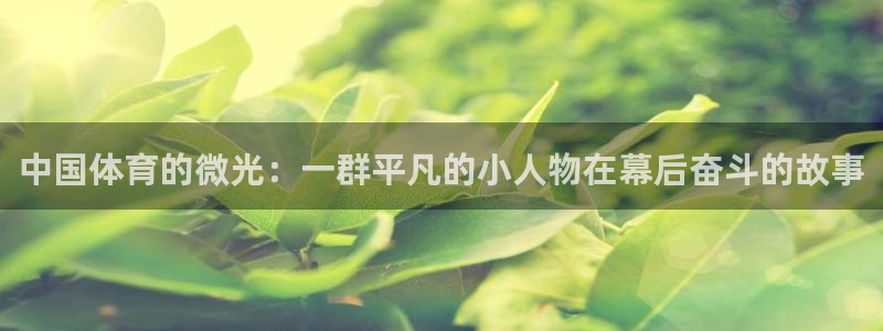 杏耀凯捷注册