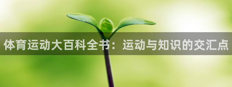 杏耀4登录